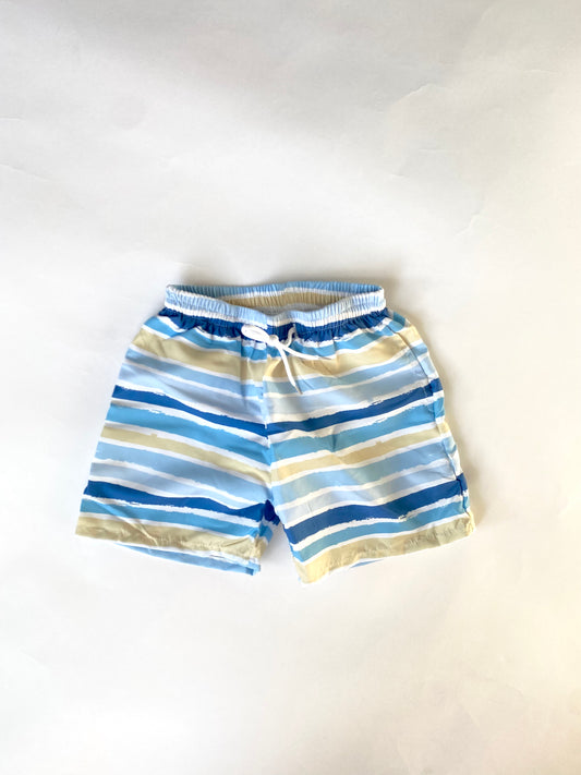 Stripe Swim Trunks